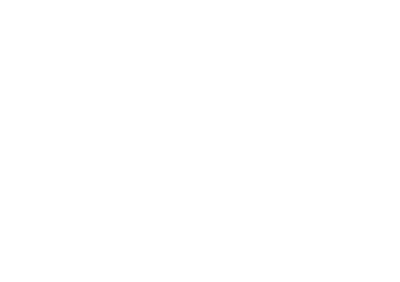 BPI France logo
